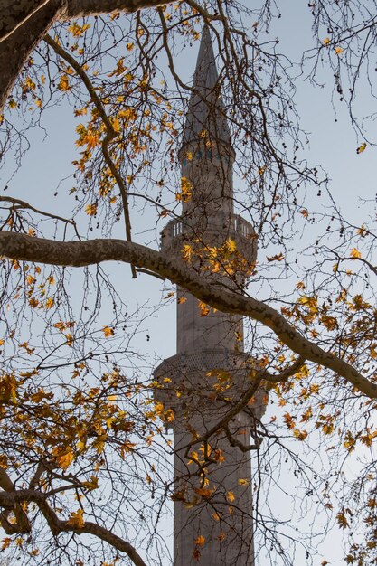 Zdjęcie minaret meczetów osmańskich w widoku