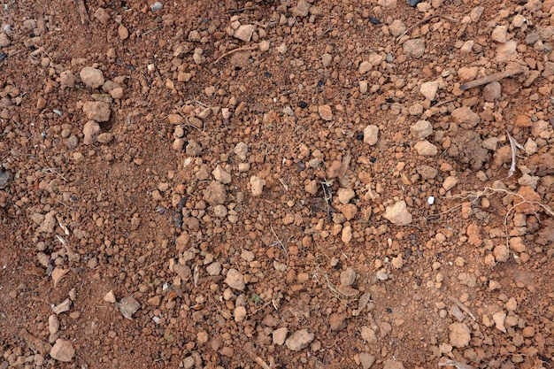 Minerały składniki odżywcze w jakości gleby do uprawy ziemi pług łopata dla rolnictwa tekstura gleby tło gleby