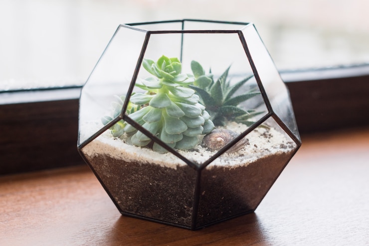 Zdjęcie mini soczysty ogródek w szklanym terrarium na drewnianym parapecie, sukulenty z piaskiem i kamieniami w szklanym pudełku, elementy dekoracji wnętrz.