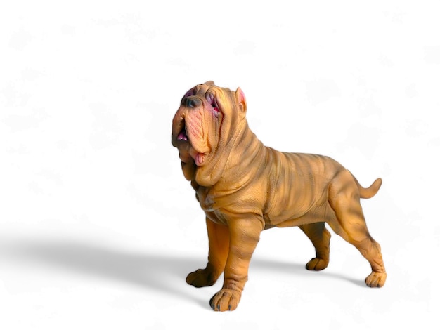 Miniatura psa mastifa neapolitańskiego z dużym nosem stoi na białym tle