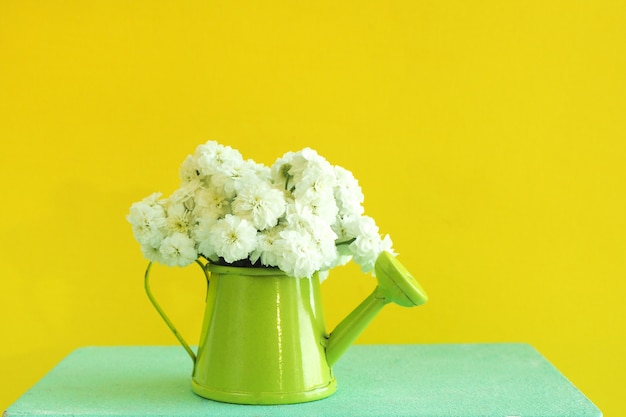 Miniaturowa zielona konewka z bukietem białych kwiatów na niebieskim drewnianym pudełku. Jasne żółte tło.