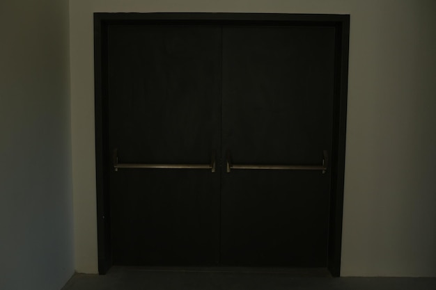 minimalistyczne drzwi, drzwi wejściowe, drewniane drzwi, duże drewniane drzwi