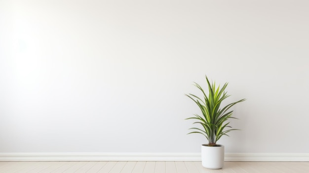 Minimalistyczny biały pokój z odważną kolorową rośliną w garnku