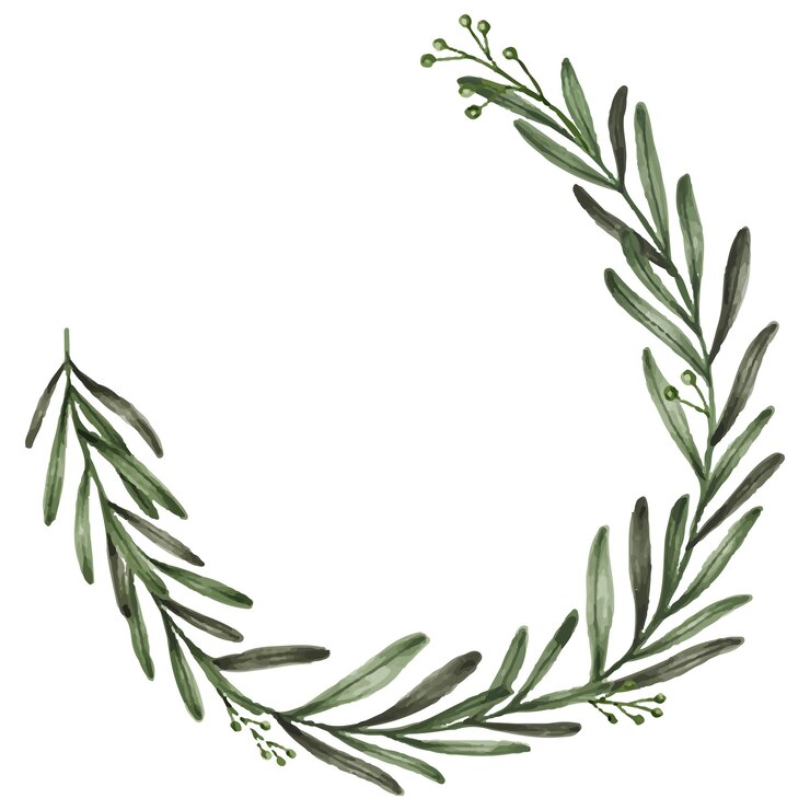 Zdjęcie minimalna ramka kwiatowa przezroczysta png