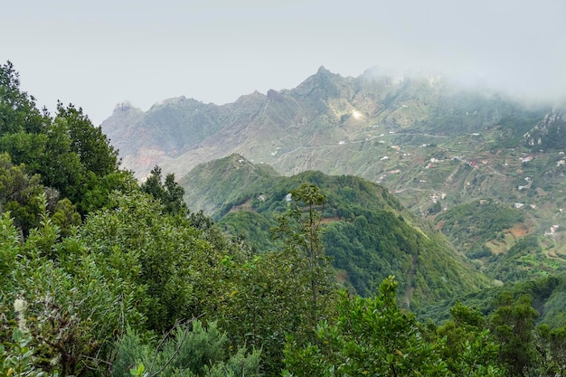 Mirador Pico del Ingles