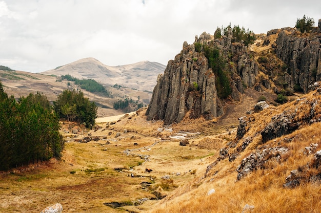 Mistyczne formacje skalne Cumbemayo w Cajamarca PERU.