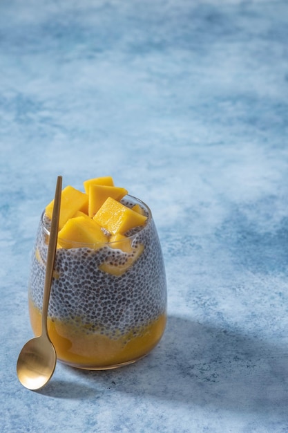 Mleko kokosowe budyń z nasion chia z puree z mango i świeżym mango