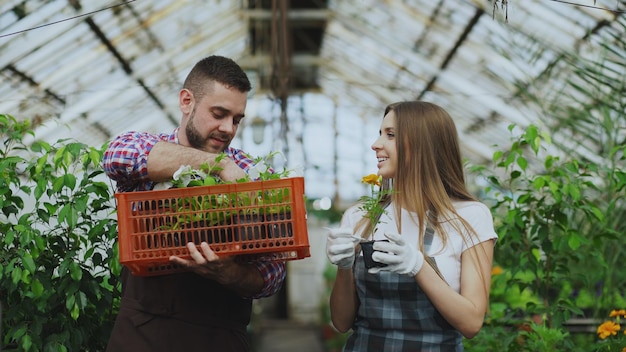 Młoda atrakcyjna para kwiaciarni w fartuchu pracuje w szklarni
