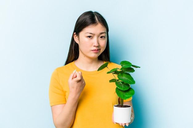 Młoda azjatycka kobieta trzymająca roślinę odizolowaną na niebieskim tle, wskazując palcem na ciebie, jakby zapraszając do siebie