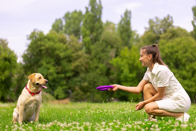 Młoda dziewczyna bawi się zabawkowym pierścionkiem z psem labradorem na trawie
