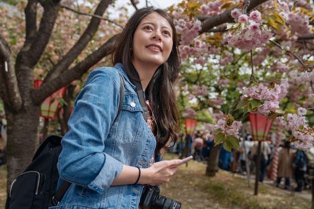 młoda dziewczyna gość stojący pod gałęzią wiśni w parku na wiosnę. piękna kobieta podróżnik czytanie przewodnika online na telefon komórkowy podczas wizyty w Osace w Japonii. toursit cieszyć patrząc w górę nieba.