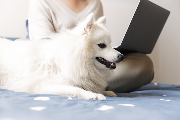 Młoda dziewczyna w okularach za pomocą laptopa na kolanach, siedząc na łóżku z psem