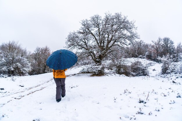 Młoda dziewczyna w żółtej kurtce i parasolem spacerująca po śniegu obok drzewa