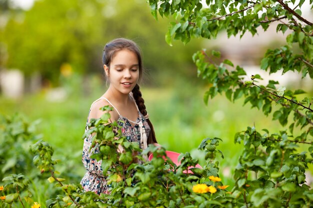 Młoda dziewczyna z brązową kosą zbiera dojrzałe jagody z dużego zielonego krzewu