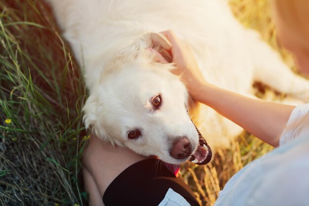 Młoda kobieta bawi się swoim Golden Retriever