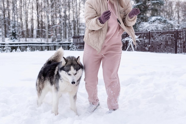 Młoda kobieta bawi się z psem husky syberyjskim w śniegu w zimowy dzień, szkolenia i spacery z psem. Przyjaźń, śliczny piesek, najlepszy zwierzak, piesek na spacer z właścicielem