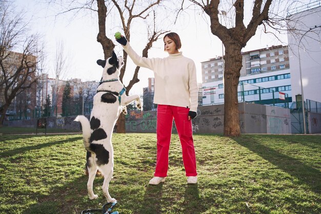 Młoda kobieta bawiąca się z psem na spacerze w parku latem pies skacze na kobietę podczas