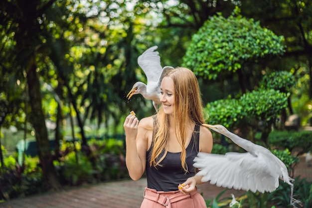 Młoda kobieta karmiąca koziorożce w parku Czapla biała Czapla zwyczajna Bubulcus ibis Waters Edge