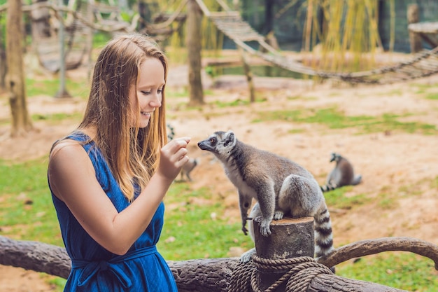 Młoda kobieta karmiona jest lemurem katta - Lemur catta. Piękno w naturze. Koncepcja pieszczoty zoo.