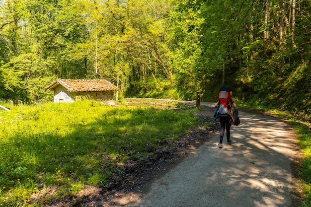 Młoda kobieta odwiedzająca park Pagoeta w Aia Guipuzcoa Kraj Basków