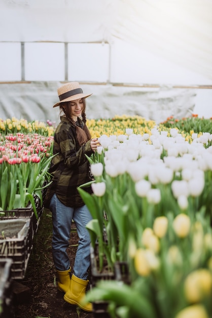 Młoda kobieta ogrodnik dba o kwiaty tulipanów uprawianych w szklarni.