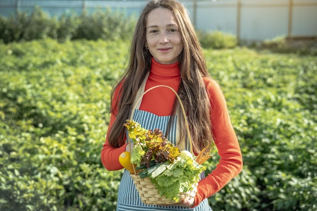 Młoda Kobieta Rolnik Agronom Zbiera świeże Warzywa W Ogrodzie Ekologiczne Surowce Uprawiane W Gospodarstwie Domowym