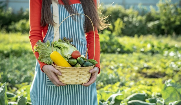 Młoda kobieta rolnik agronom zbiera świeże warzywa w ogrodzie Ekologiczne surowce uprawiane w gospodarstwie domowym