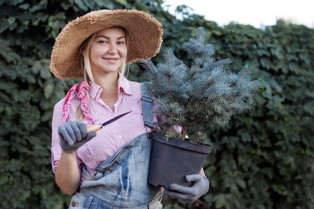 Młoda kobieta sadzi choinkę w ziemi Koncepcja projektowania krajobrazu ogrodnictwo ogrodnik sadzi drzewa w letnim ogrodzie
