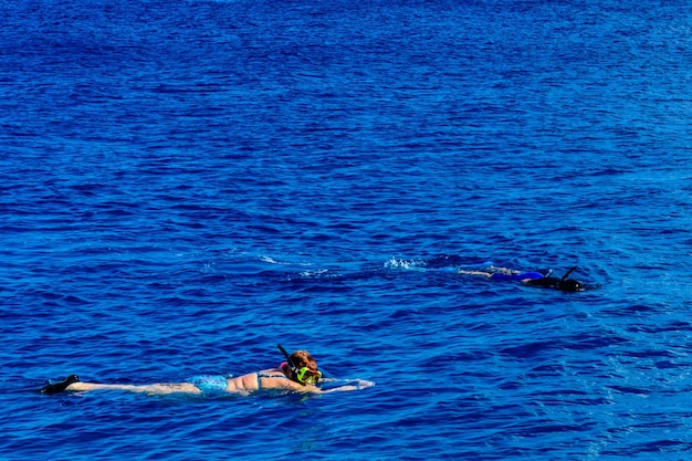 Młoda Kobieta Snorkeling W Morzu Czerwonym Koncepcja Letnich Wakacji