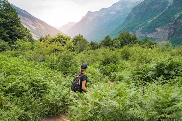 Młoda kobieta trekking na szczycie zielonej góry między paprociami