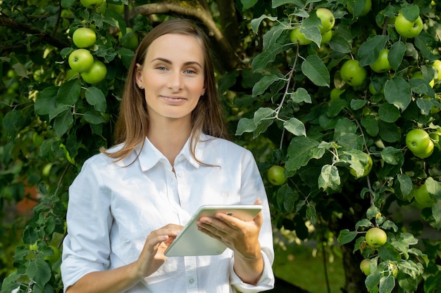 Młoda kobieta w białej koszuli z tabletem sprawdza wzrost jabłek na zielonych drzewach w ogrodzie