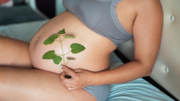 Młoda kobieta w ciąży gładzi brzuch zieloną gałązką z liśćmi. koncepcja zdrowego stylu życia