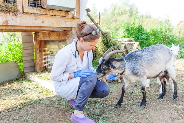 Młoda kobieta weterynarz z stetoskop gospodarstwa i badanie kozy na tle ranczo. Młoda koza z rękami weterynarza do sprawdzenia w naturalnej ekologicznej farmie. Koncepcja rolnictwa ekologicznego opieki nad zwierzętami gospodarskimi.