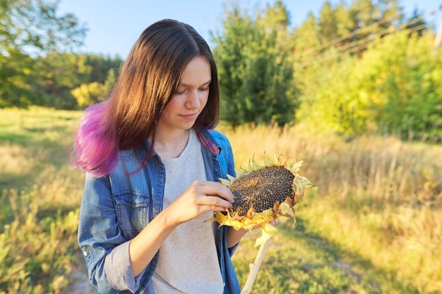 Młoda kobieta z dojrzałych roślin słonecznika w ręku, zachód słońca piękny naturalny krajobraz tło. Jesień, zbiory, rolnictwo, ogrodnictwo, nasiona słonecznika, koncepcja zdrowej naturalnej żywności ekologicznej