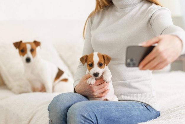 Młoda kobieta z jej ślicznym Jack Russell Terrierem w krześle w domu białym zwierzaku