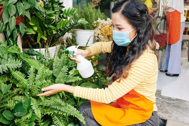 Młoda kwiaciarka nosząca maskę medyczną z powodu pandemii koronawirusa podczas opryskiwania liści paproci