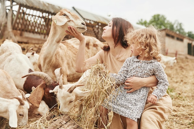 Młoda matka z córką jest na farmie w okresie letnim z kozami