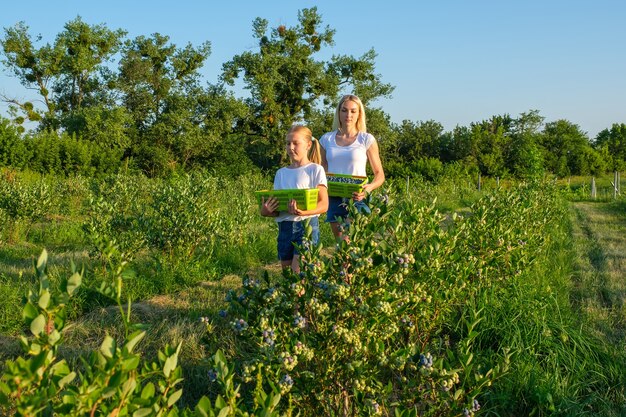 Młoda matka z córką zbierająca jagody w gospodarstwie ekologicznym