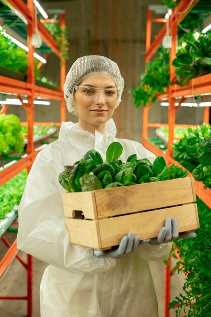 Młoda, odnosząca sukcesy kobieta agroinżynier w ochronnej odzieży roboczej, trzymająca drewniane pudełko z zielonymi sadzonkami szpinaku w nowoczesnej pionowej farmie