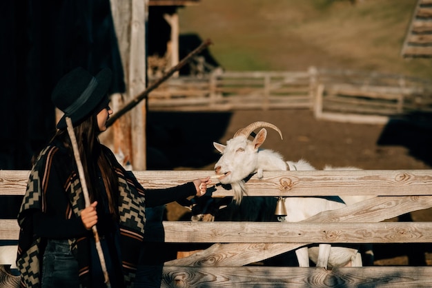 Młoda piękna kobieta karmi kozę za płotem