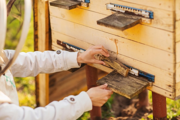 Zdjęcie młoda pszczelarzka pracuje z pszczołami i ulem na pasiece