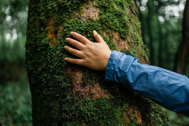 Młoda samica dotykająca starej kory drzewa o wschodzie słońca w letnim lesie chroni przyrodę zielony ecofriendl