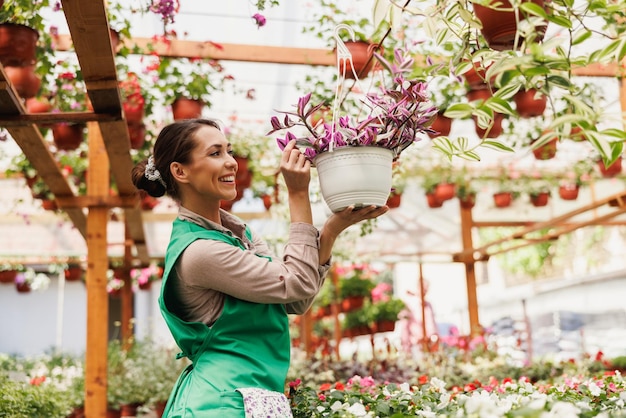 Młoda uśmiechnięta kwiaciarnia sprawdza kwiaty w centrum ogrodniczym lub szklarni. Kobieta przedsiębiorca.