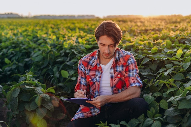 Młody agronom siedzi w polu kukurydzy, biorąc kontrolę nad plonem i napisz notatkę