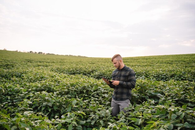 Młody agronom trzyma tablet dotykowy komputer w polu soi i bada uprawy przed zbiorem. Koncepcja agrobiznesu. inżynier rolnictwa stojący na polu soi z tabletem w lecie