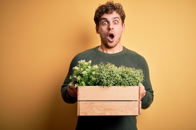 Młody blond przystojny mężczyzna z kręconymi włosami trzymający drewniane pudełko z roślinami przerażonymi w szoku z niespodziewaną twarzą przestraszoną i podekscytowaną wyrazem strachu