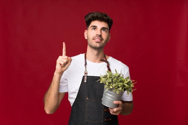 Młody Człowiek Bierze Flowerpot I Wskazuje Up