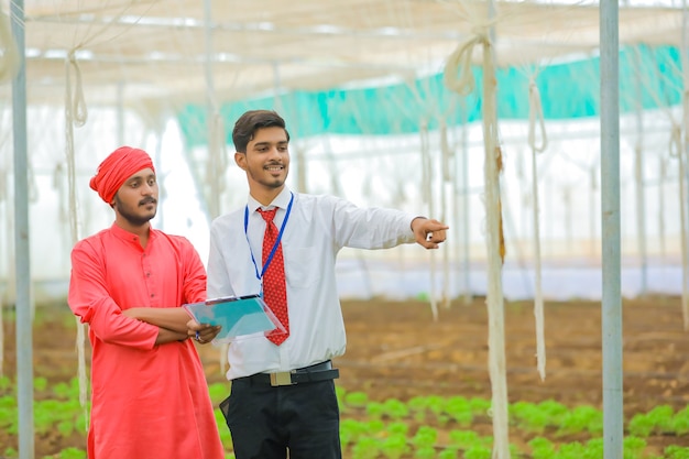 Młody indyjski agronom i rolnik rozmawiają w szklarni lub w polyhouse