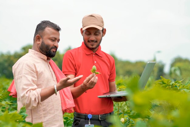 Młody Indyjski Agronom Pokazujący Informacje Rolnikowi W Laptopie W Zielonym Polu Rolnictwa.
