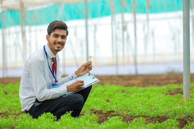 Młody indyjski agronom zbierający informacje w szklarni